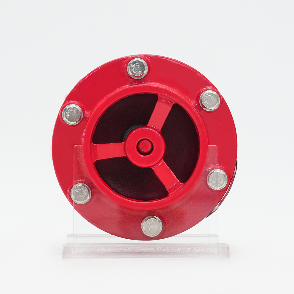 Van một chiều giảm thanh có rãnh GHC41X-16Q