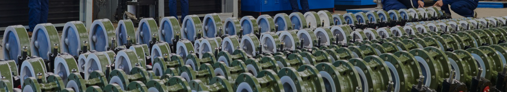 Công ty TNHH Tập đoàn Công nghệ Changshui